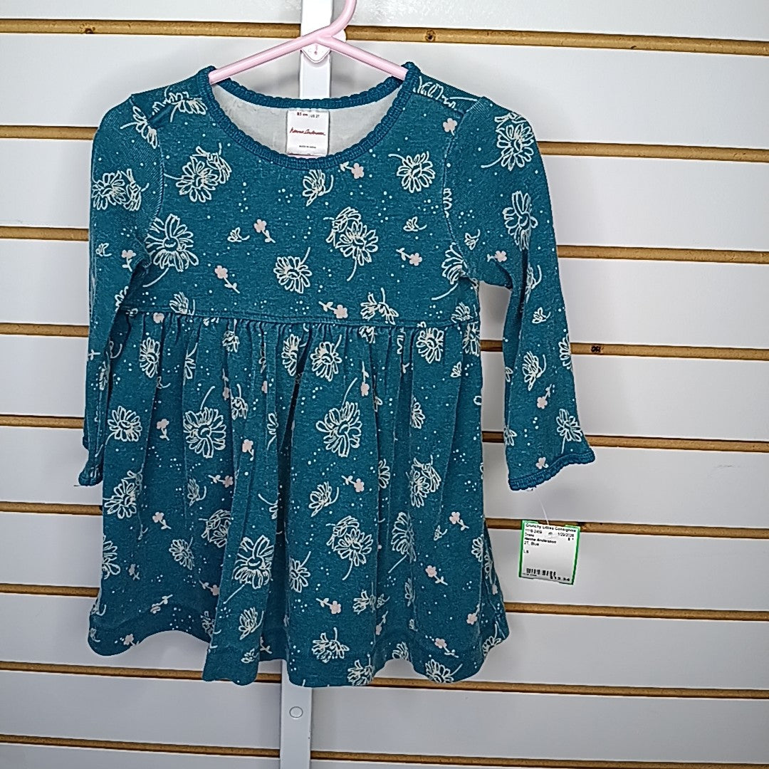 Hanna Andersson 2T Dress