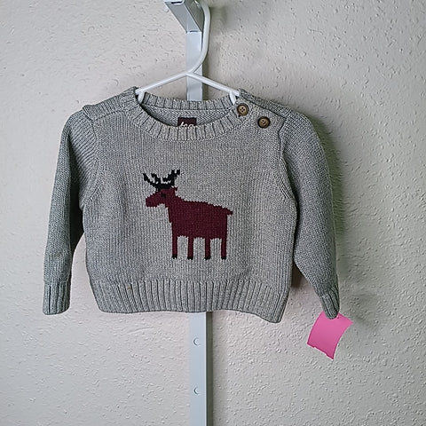 Tea 9-12 Months Sweater/Sweatshirt