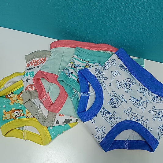 Bluey 2T Undergarment