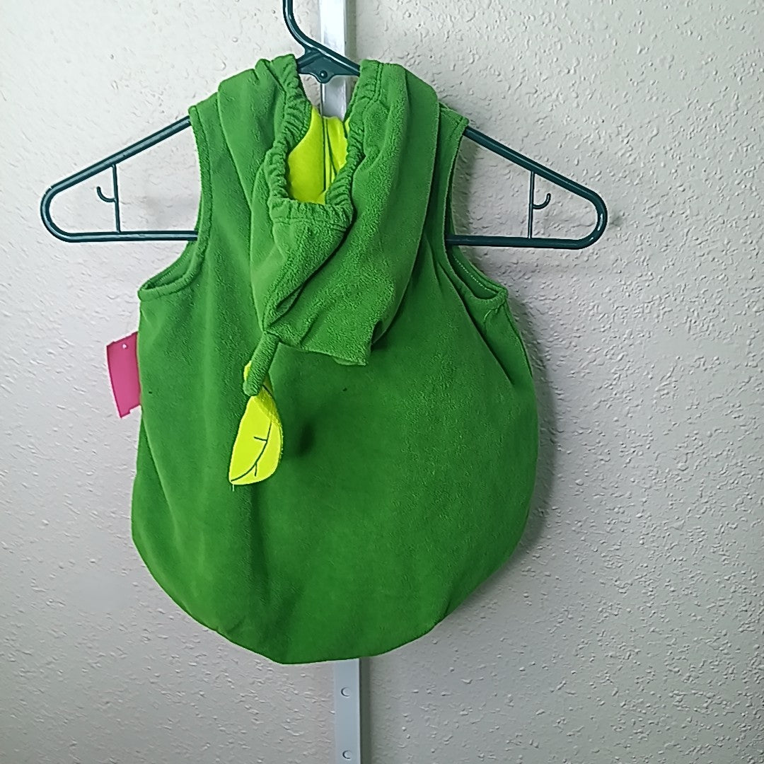Carter's 12 Months Costume