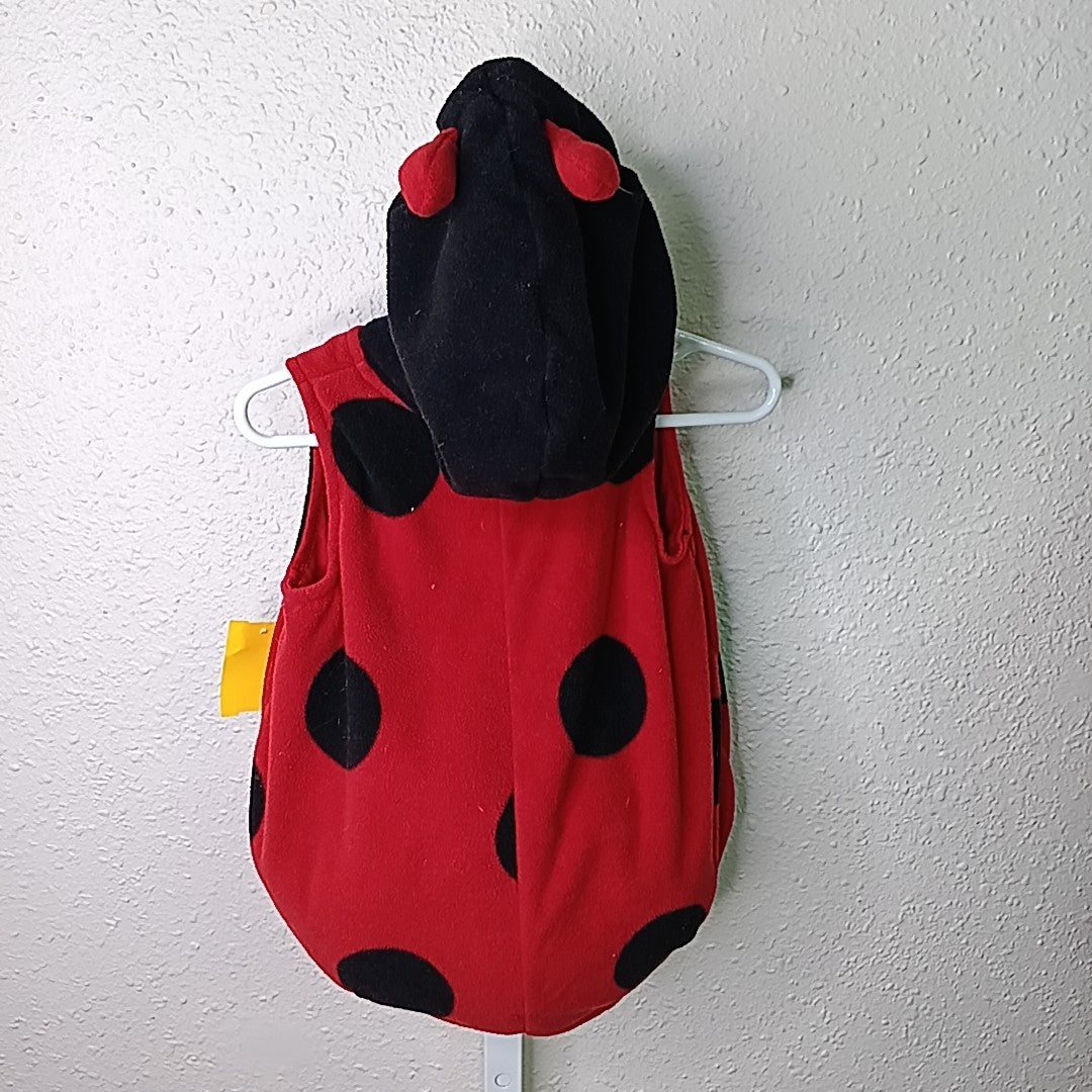 Carter's 12 Months Costume
