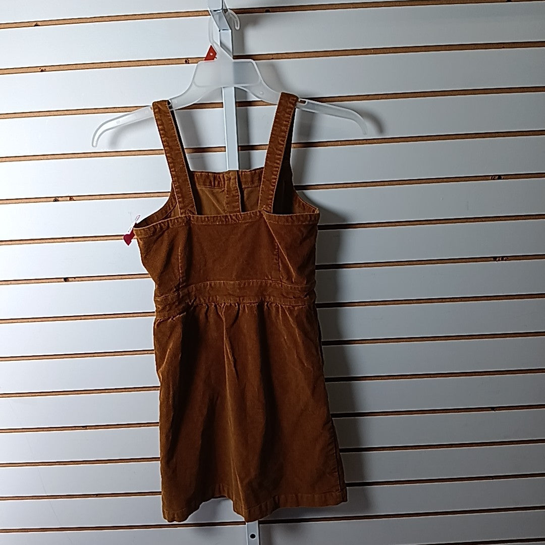 Crewcuts 12 Dress