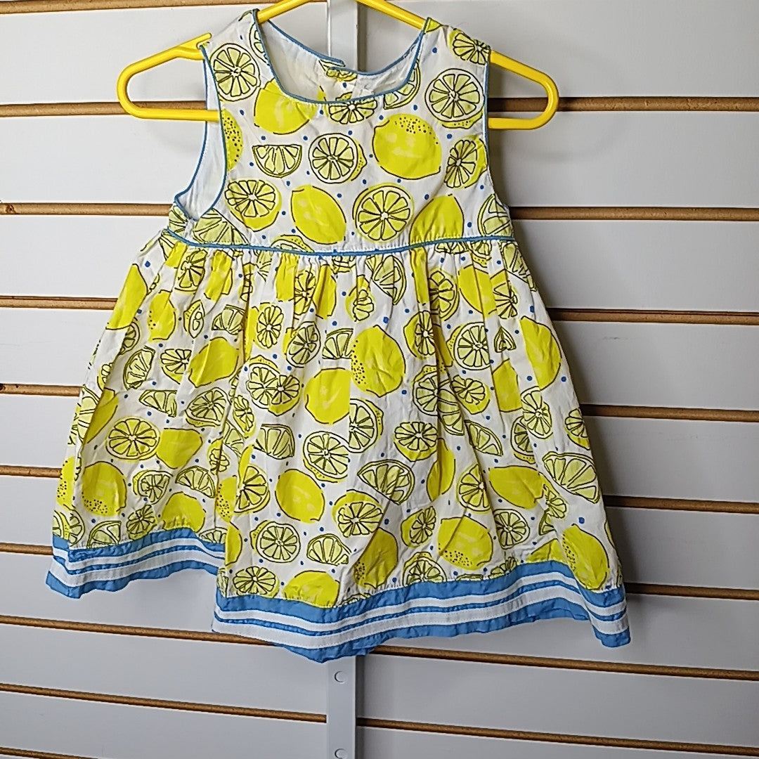Pumpkin Patch 6-12 Months Dress