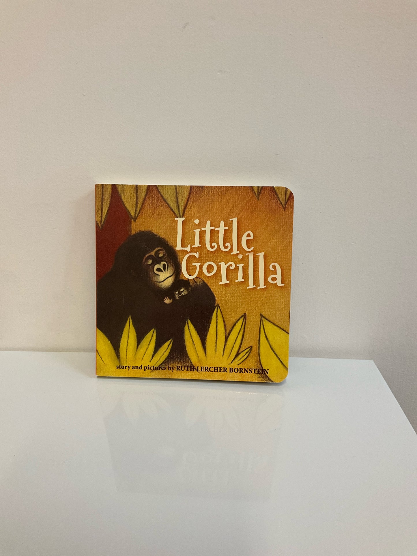 Board Book Books