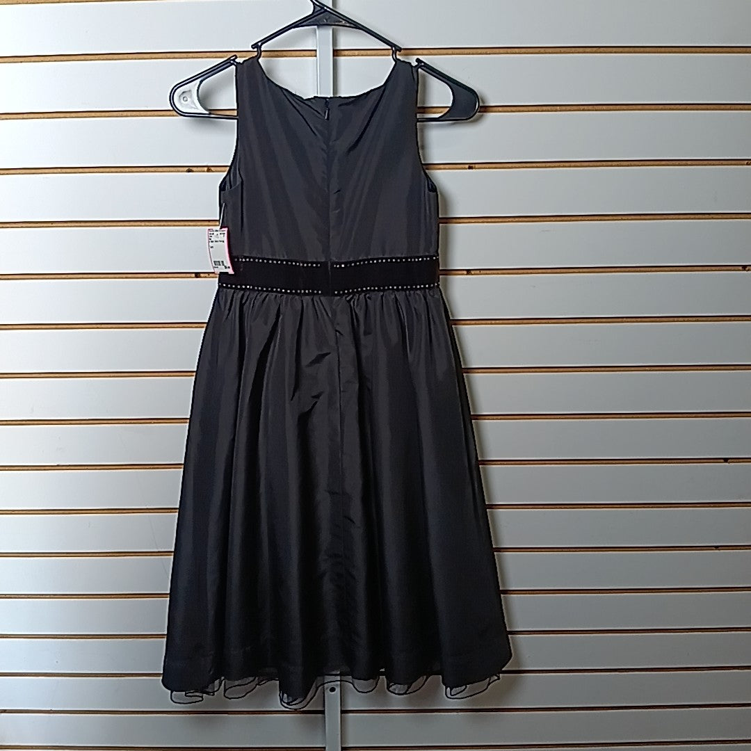 Gap 8 Dress