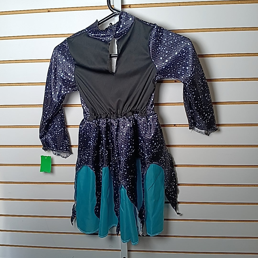 Disney 4-6 Costume