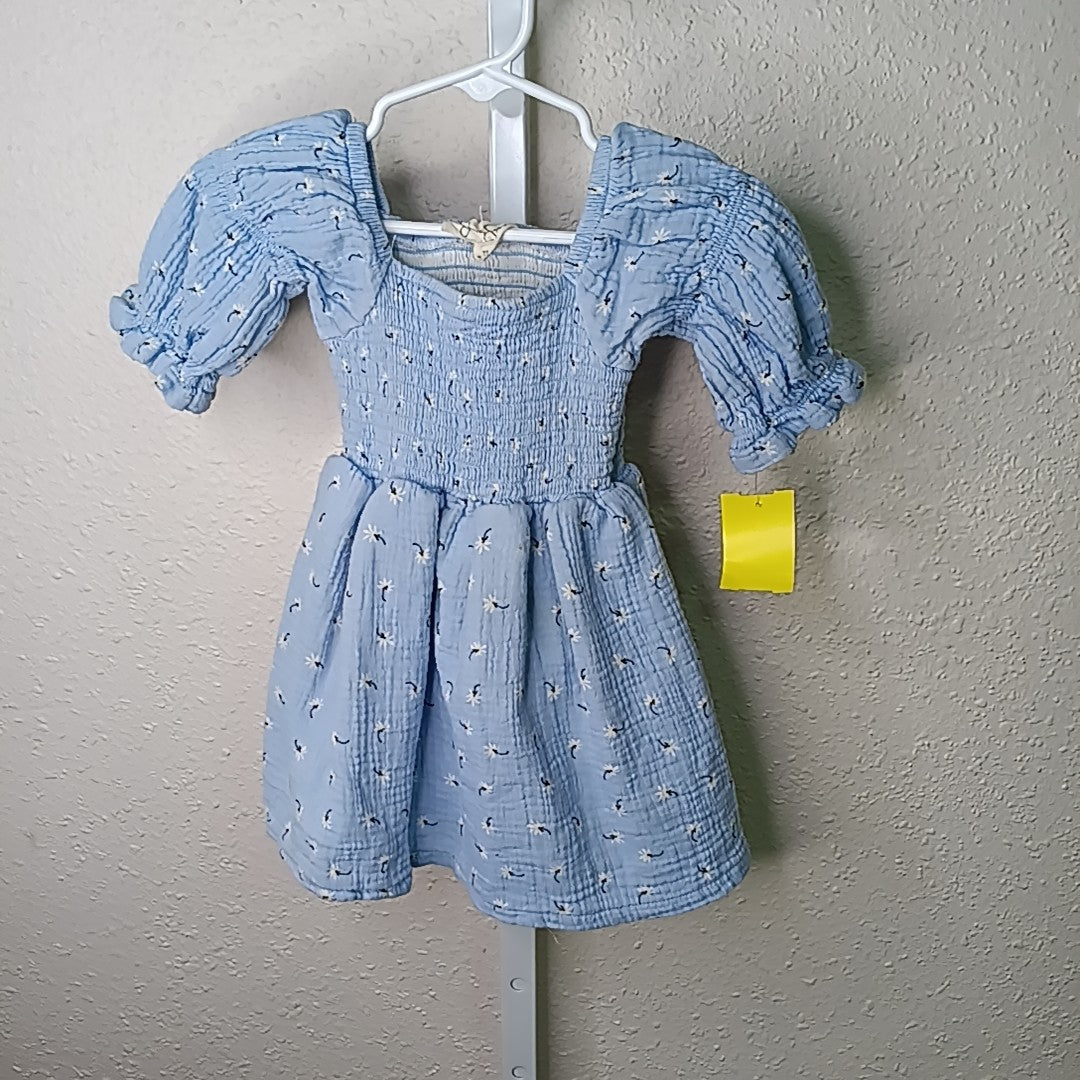 Jessica Simpson 18 Months Dress