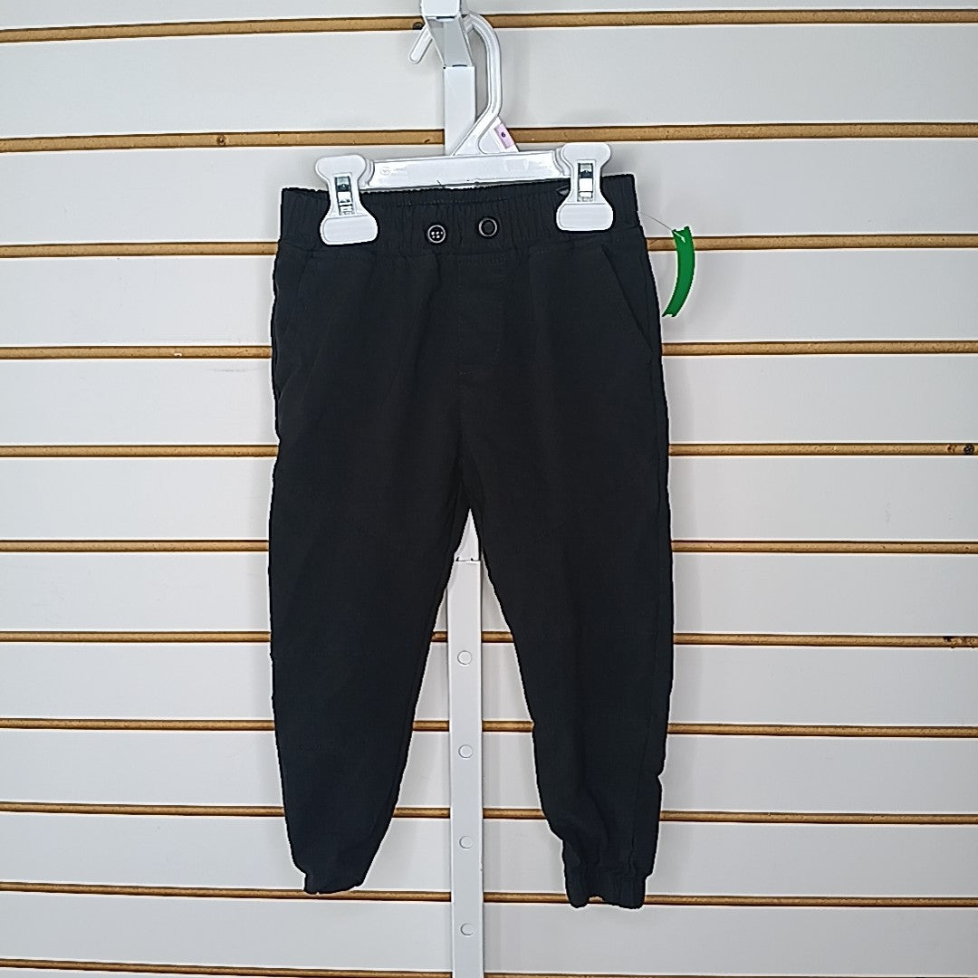 Public 4T Pants