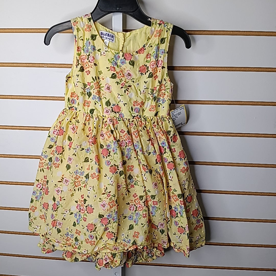 Blueberi Boulevard 4T Dress